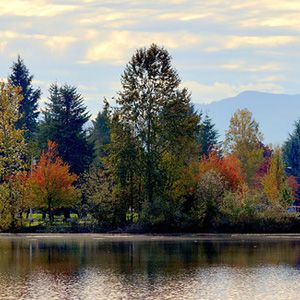 Mill Lake Park in Abbotsford, BC