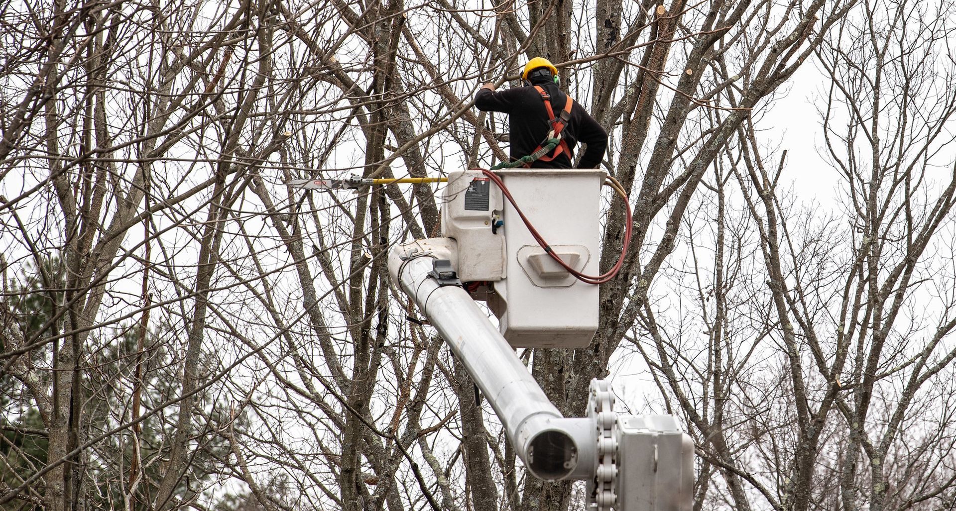 Arborist cutting tree branches from a boom truck bucket