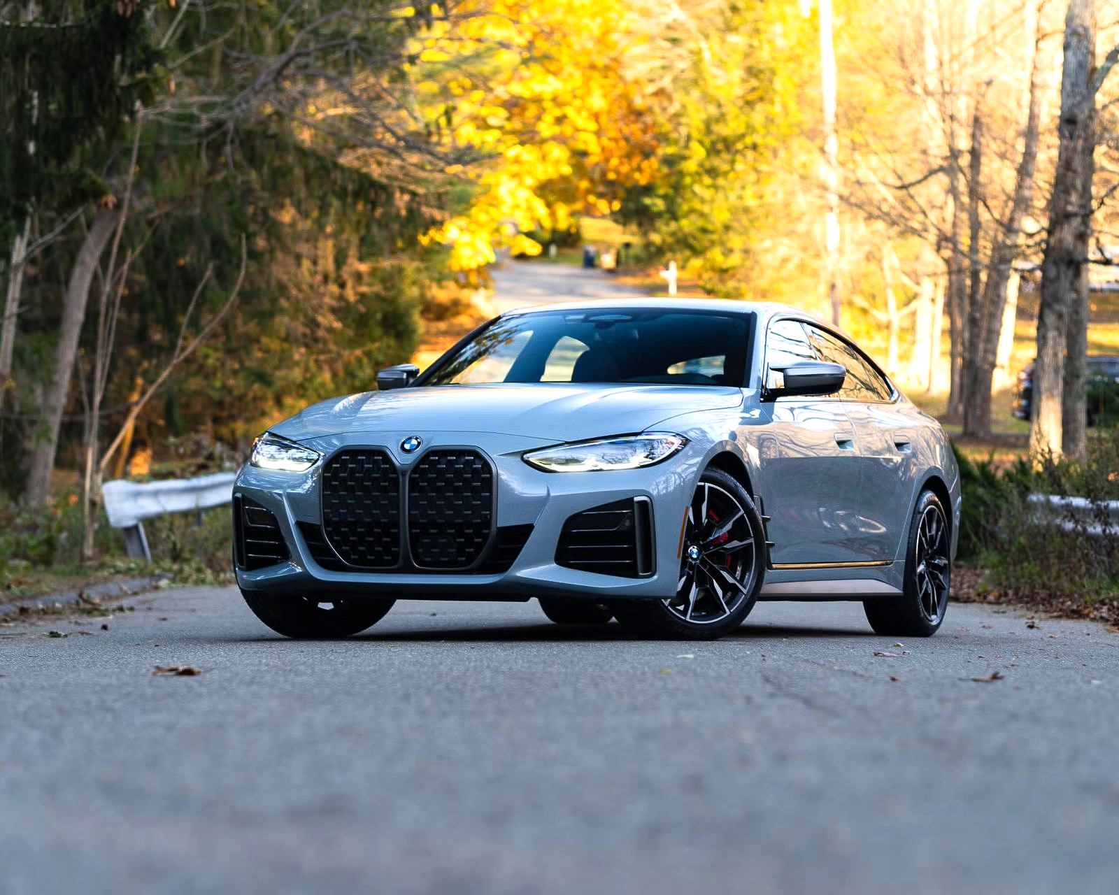 Gray BMW coupe parked on a road, with black wheels, in a fall setting.