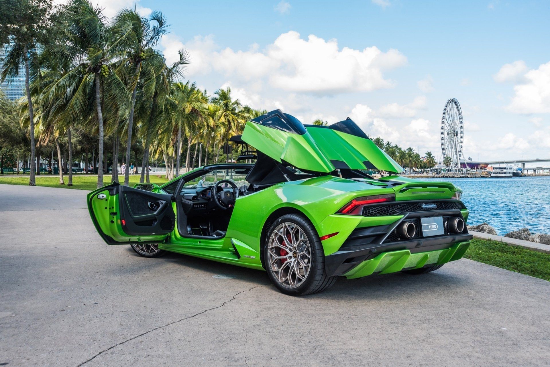 Green Lamborghini convertible with doors open, parked near water and palm trees.