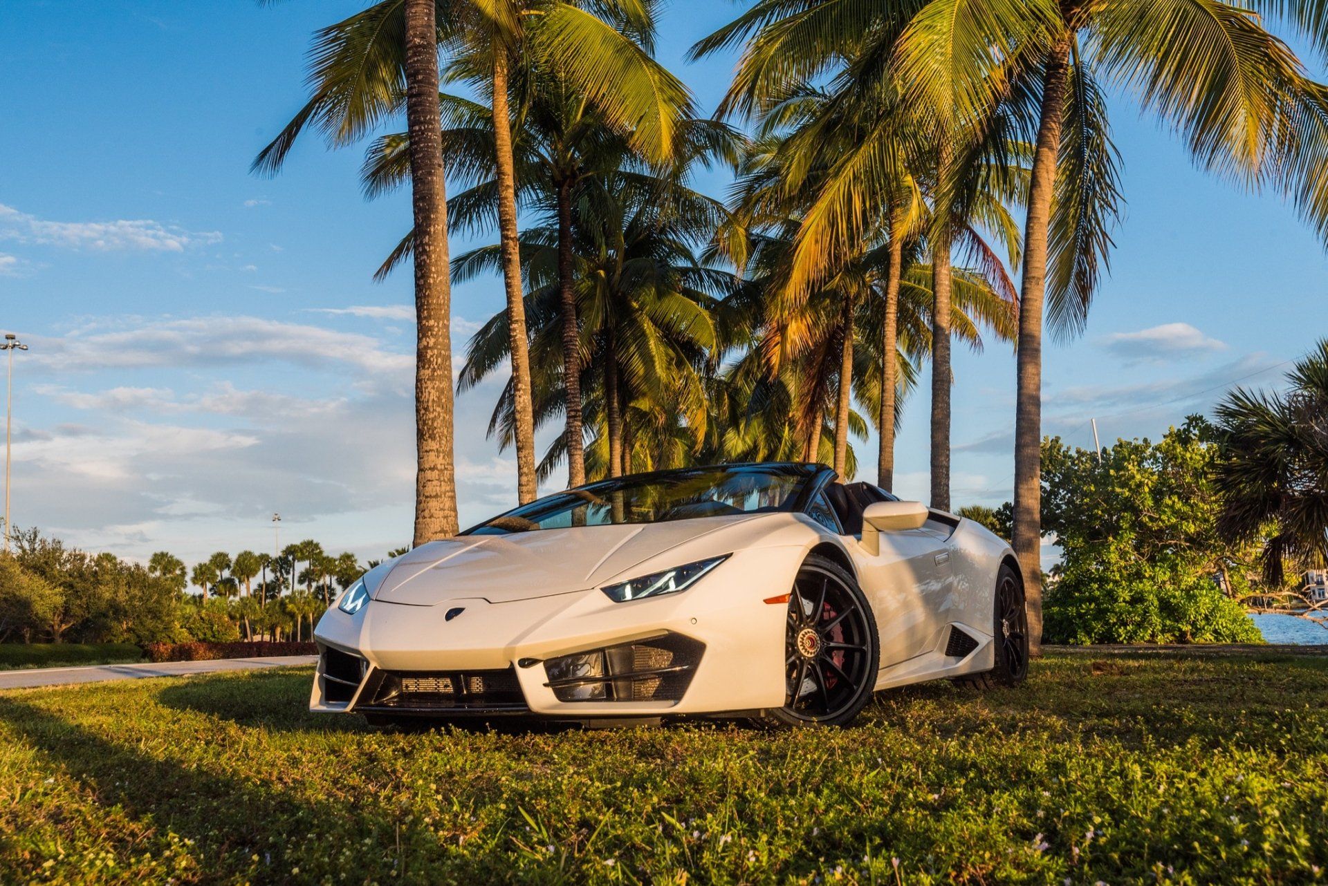 White Lamborghini convertible parked on grass near palm trees.