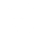 Desman Orthodontics Logo