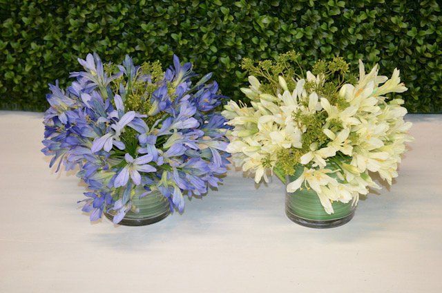 Bouquets — Agapanthus & Mini Seeded Greenery in Wellington, FL