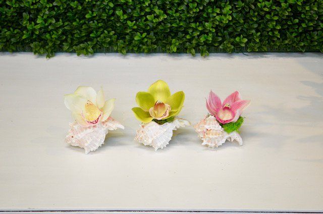 Succulents — Cymbidium Bloom In Murex in Wellington, FL