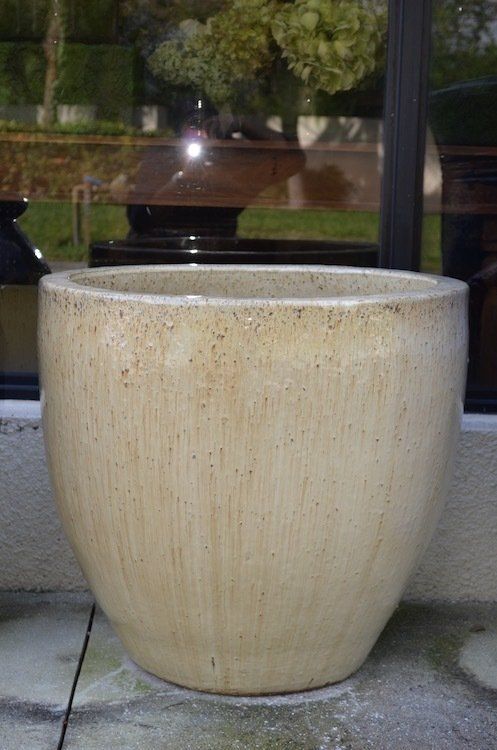 Planters — White Plant Pots in Wellington, FL