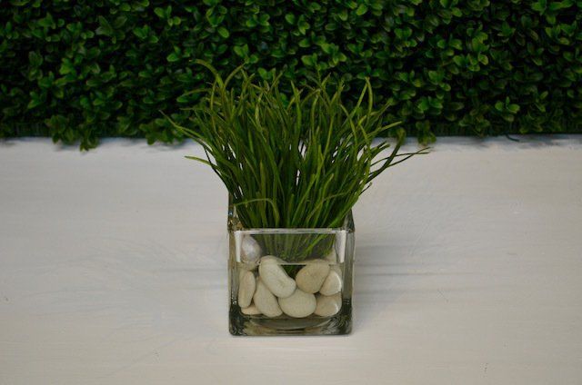 Succulents — Emerald Grass w/ Stones in Wellington, FL