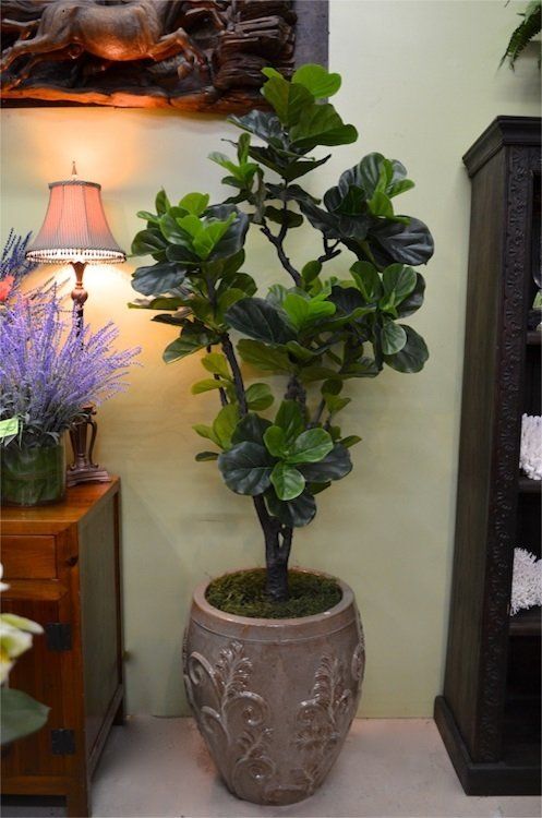 Flower — Fiddle Leaf in Wellington, FL