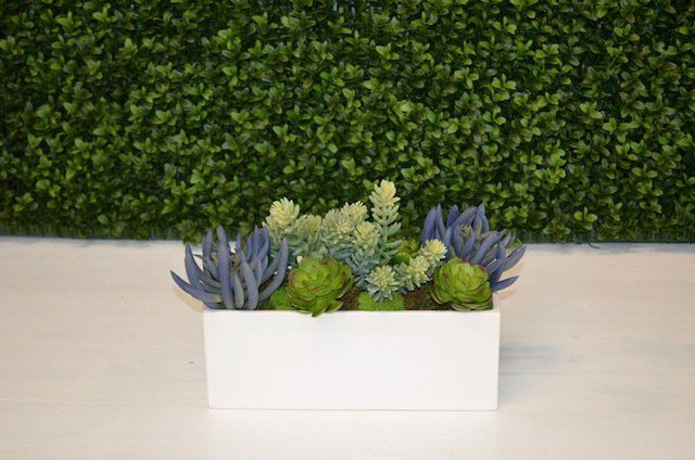Succulents — Succulent Mix In Rectangular Planter in Wellington, FL