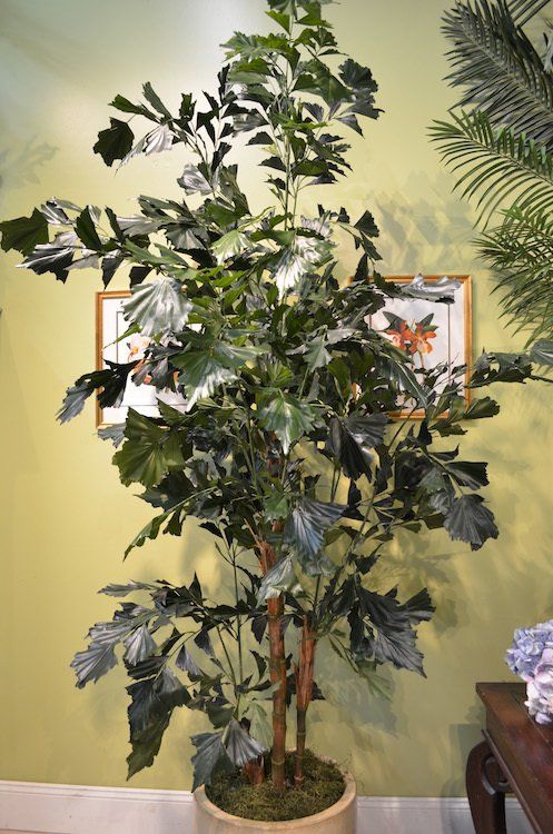 Flower — Fishtail in Wellington, FL