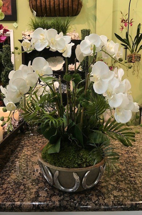 Silk Flowers — Med Phal X6 w/ Areca Palm & Curly Willow in Wellington, FL