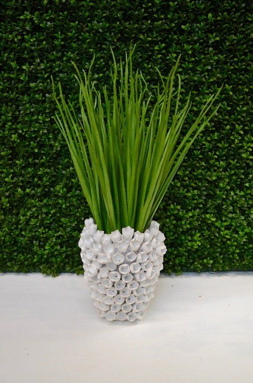 Succulents — Tall Narrow Blade Grass in Wellington, FL