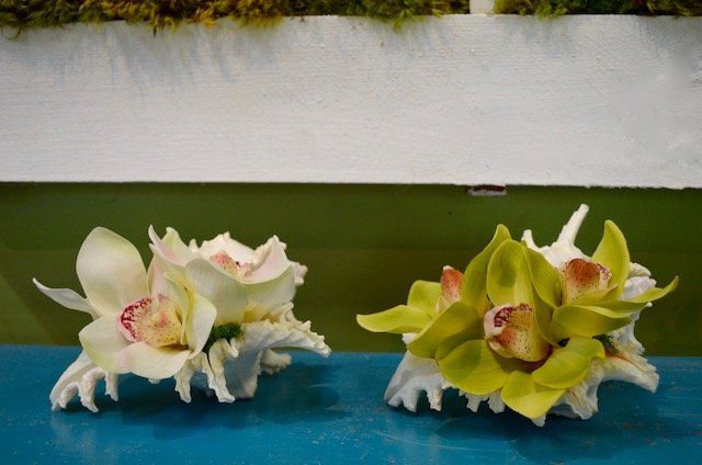 Succulents — Cymbidiums In Large Murex in Wellington, FL