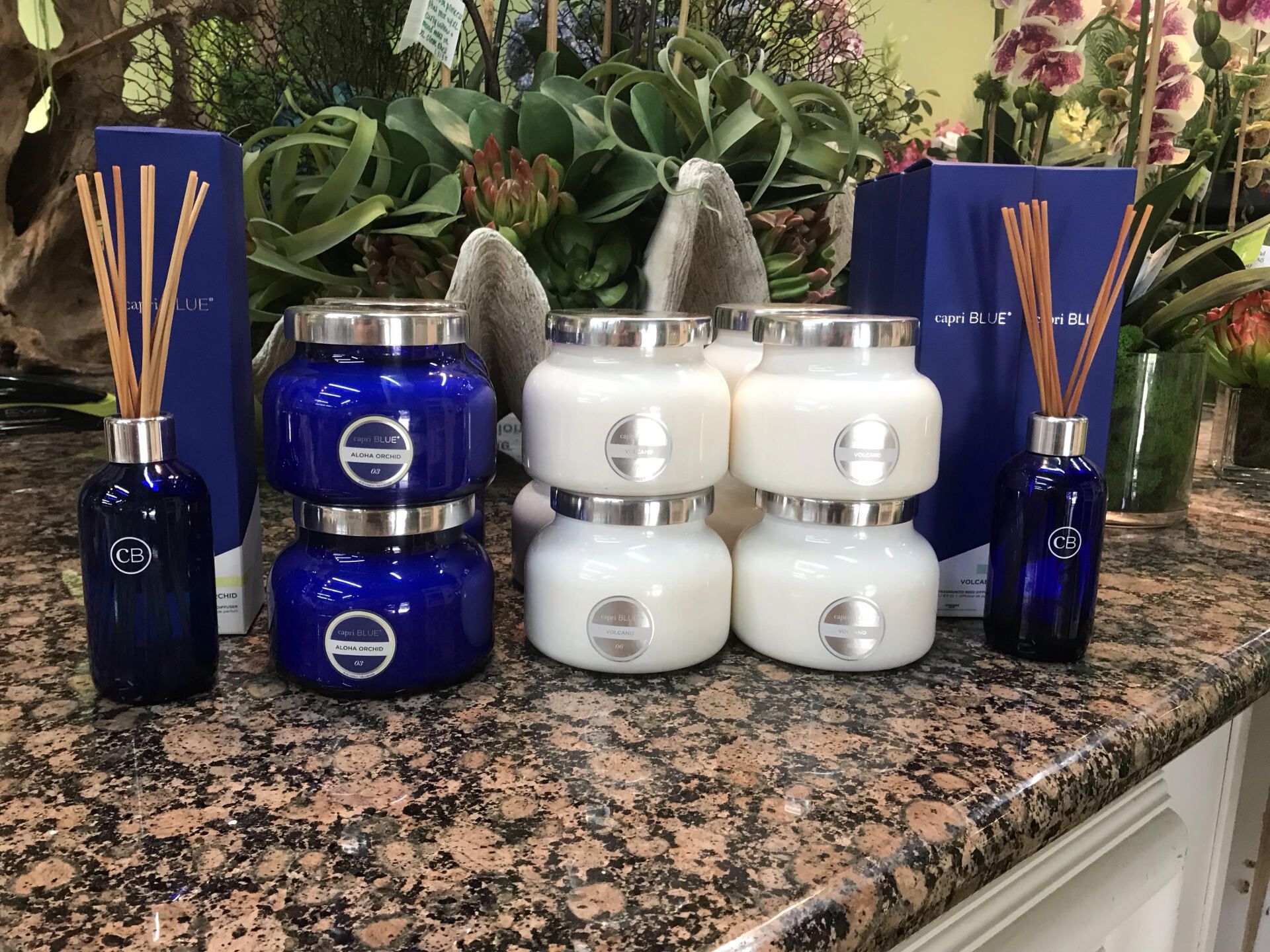Planters — Capriblue Candles in Wellington, FL
