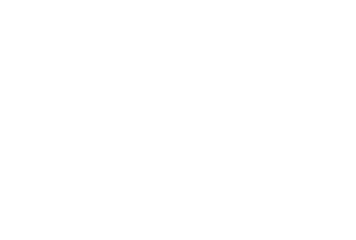 TEAM Management Logo