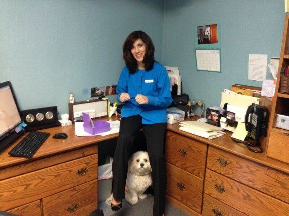 Women and Dog - Dentist in Clifton Park NY