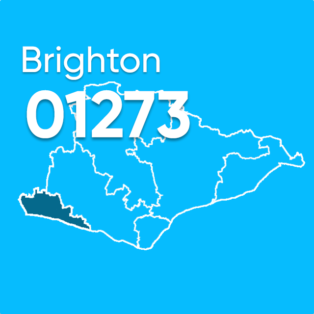 01273 area code Brighton UK
