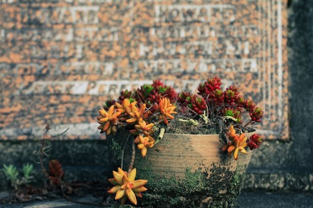 cremation services Emmitsburg, MD
