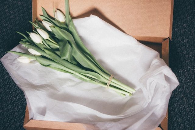 cremation services Emmitsburg, MD