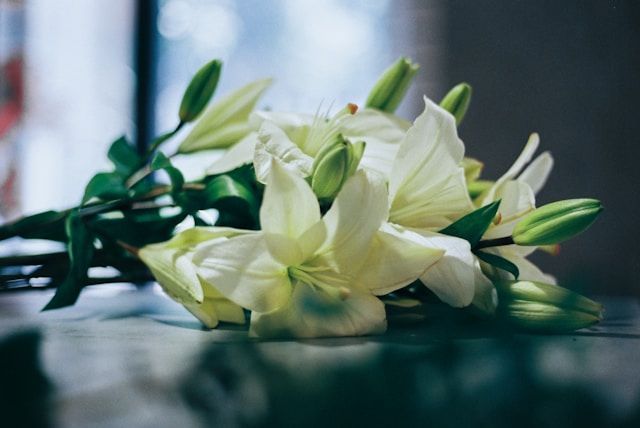 cremation services Westminster, MD
