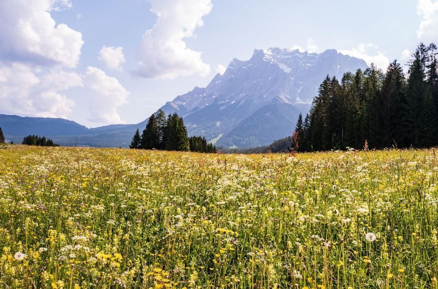 cremation services Emmitsburg, MD 