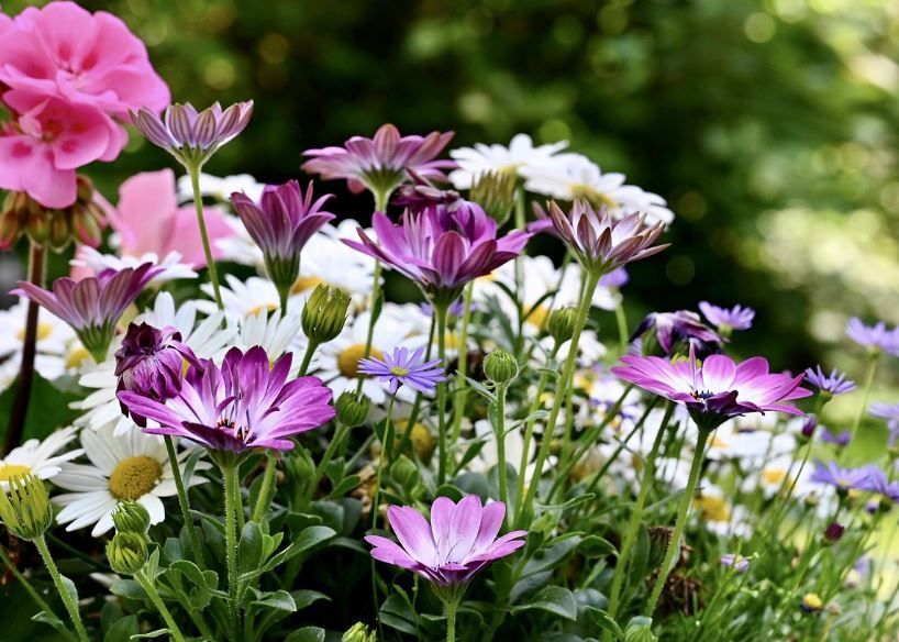 cremation services Emmitsburg, MD