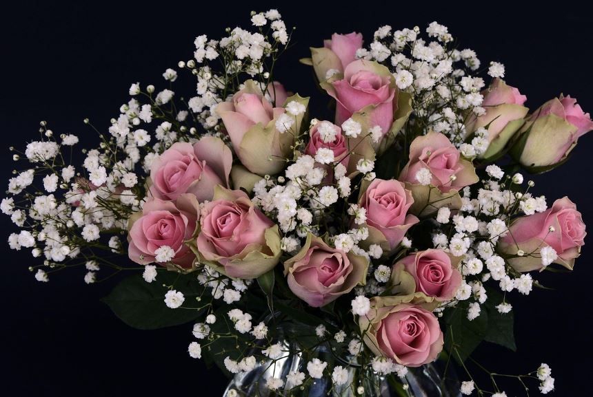 cremation services Taneytown, MD