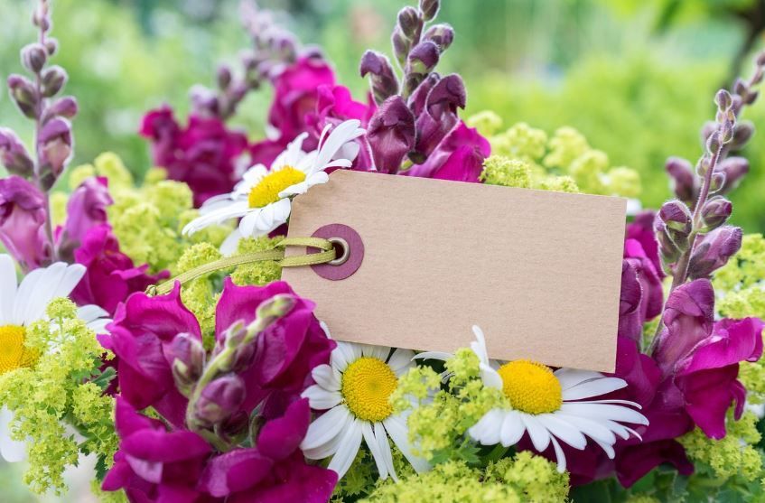 cremation services Taneytown, MD