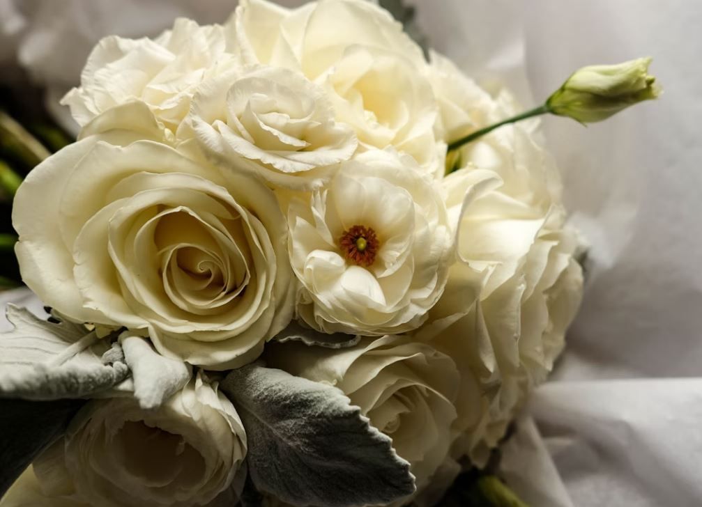 cremation services Westminster, MD