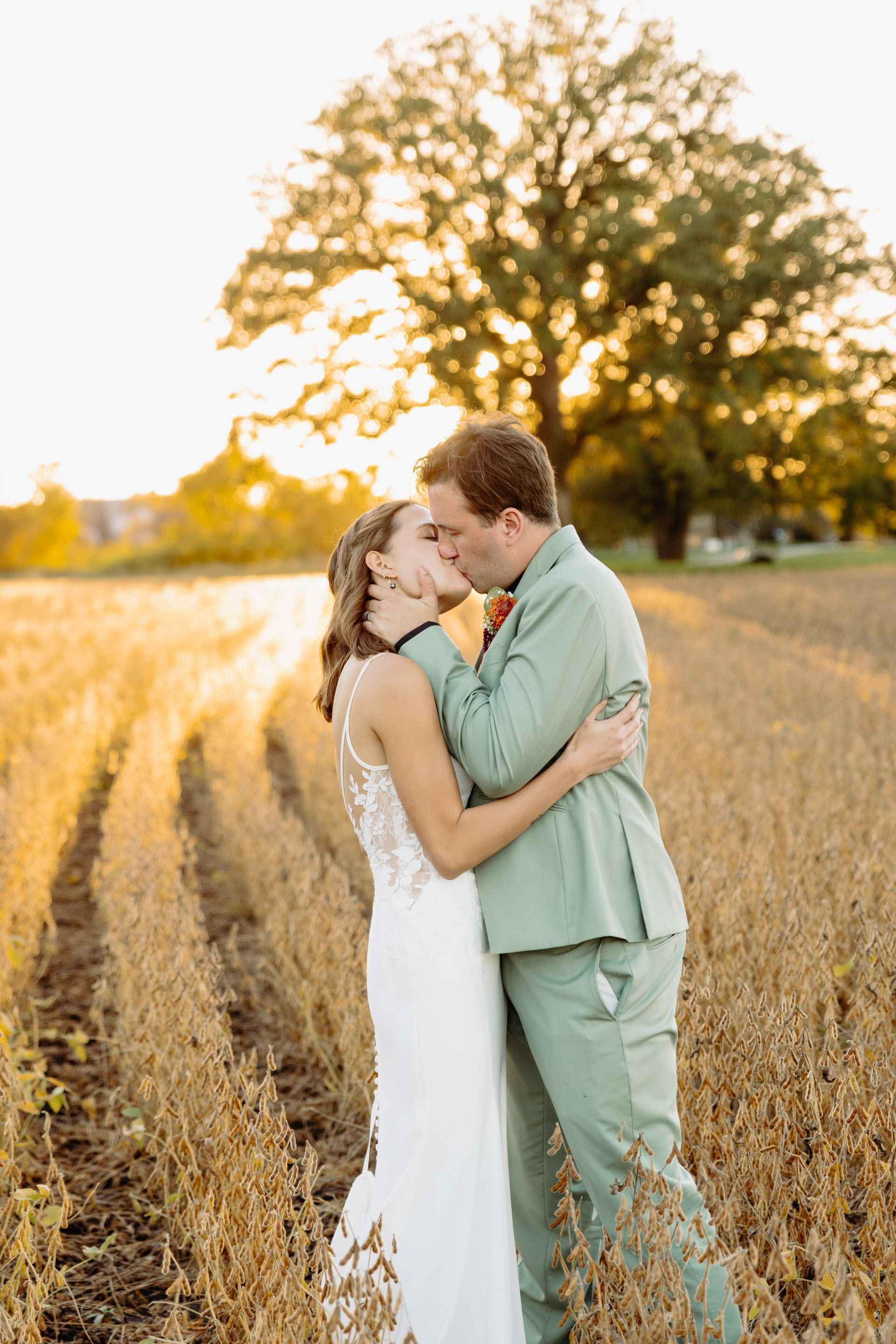 Bride and groom kissing in a field at sunset; she wears white, he wears green, trees in background.