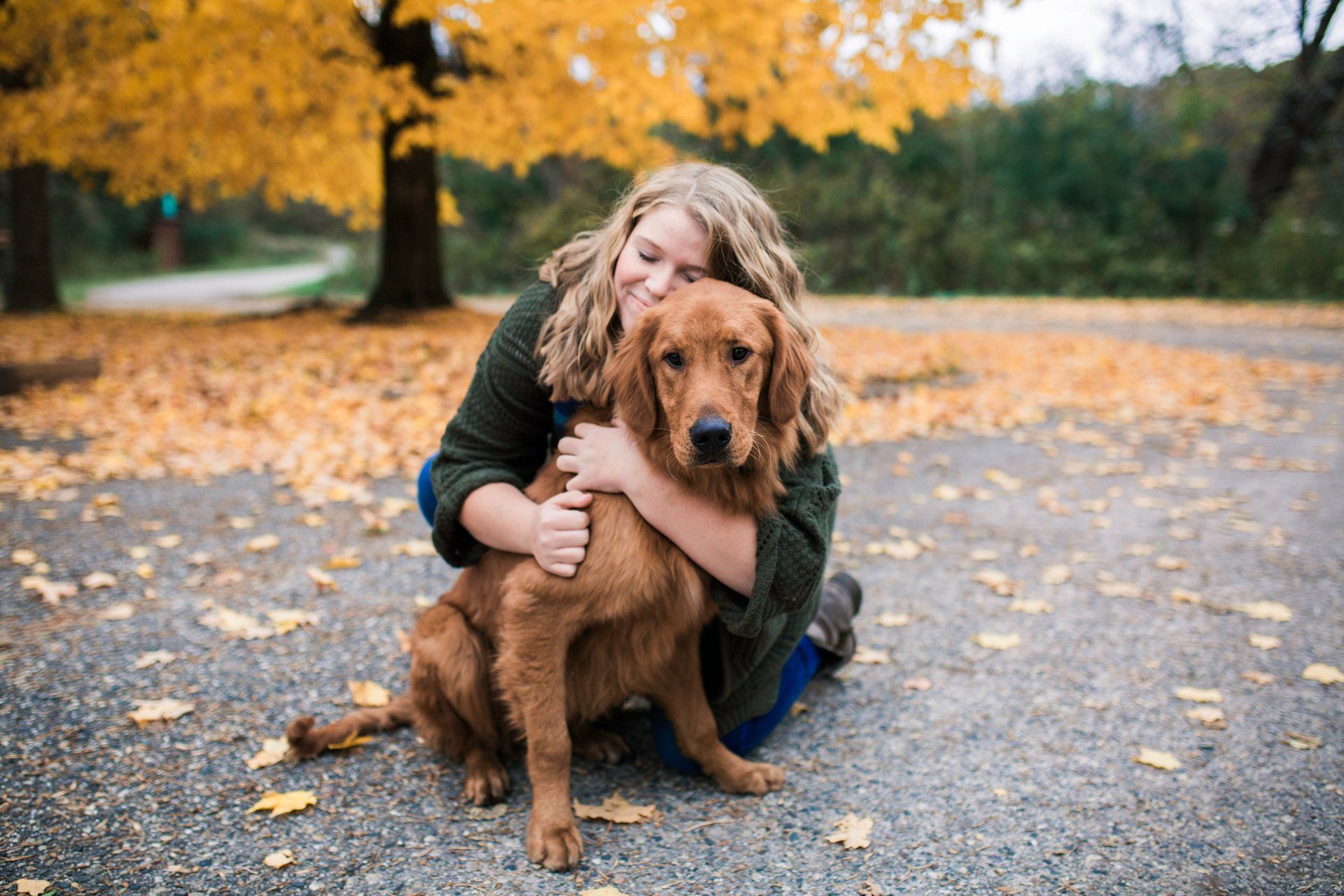 Woman hugging a golden retriever outdoors on a fall day with yellow leaves.