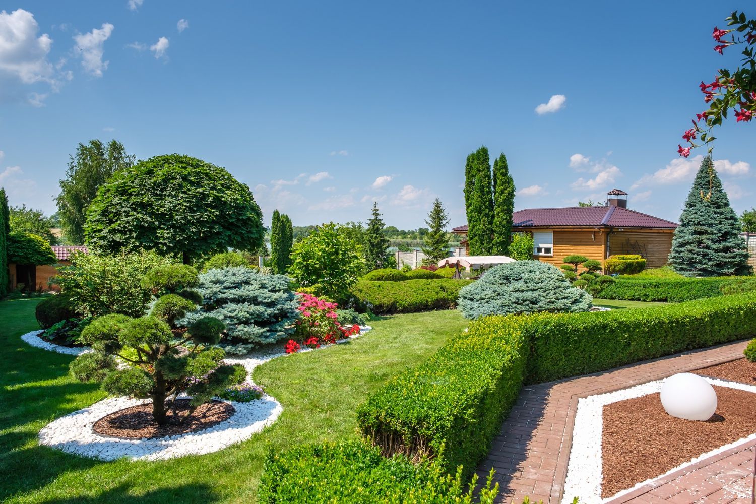 A lush green garden with a house in the background on a sunny day.