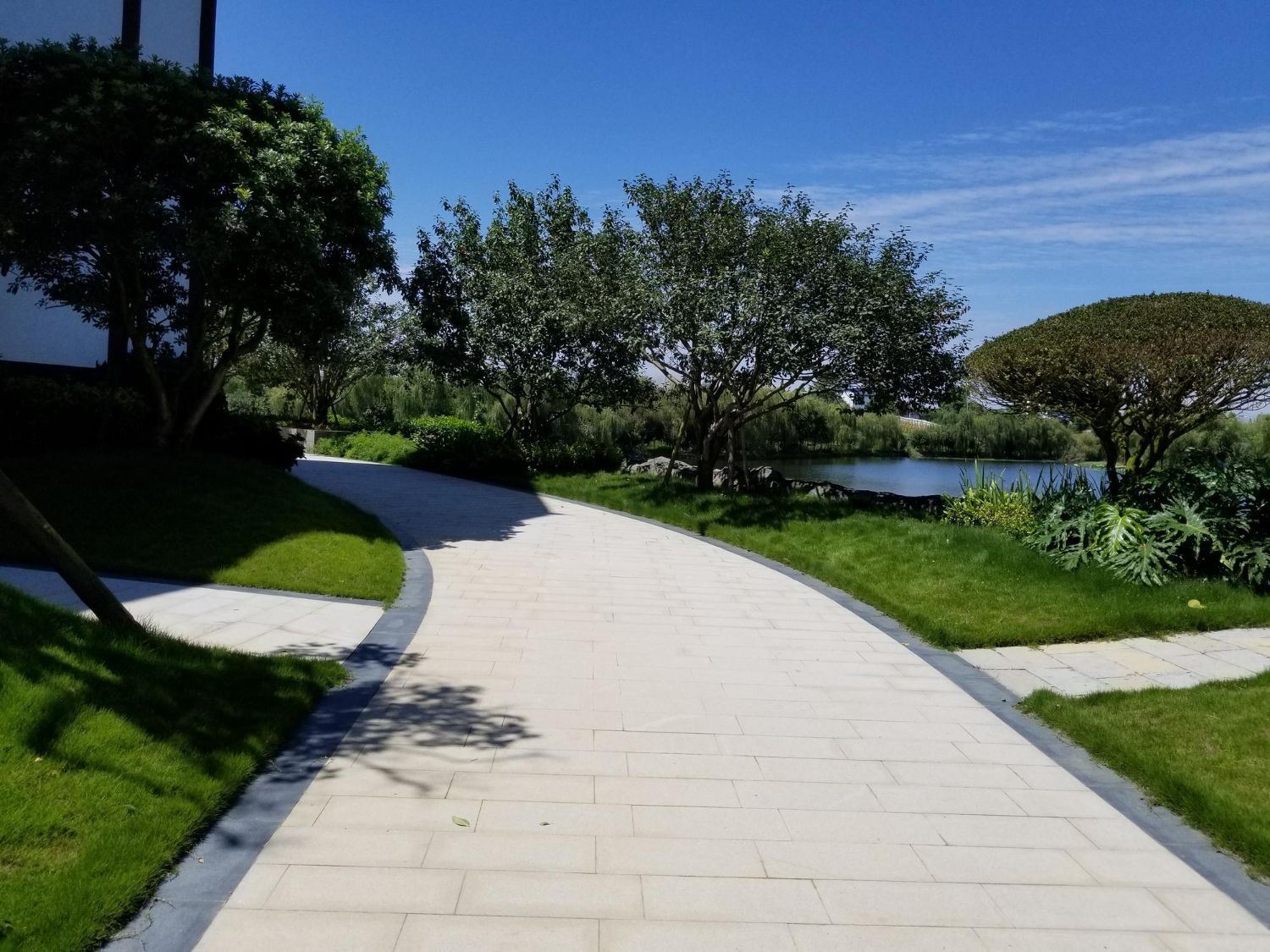 A walkway in a park with trees and grass on both sides