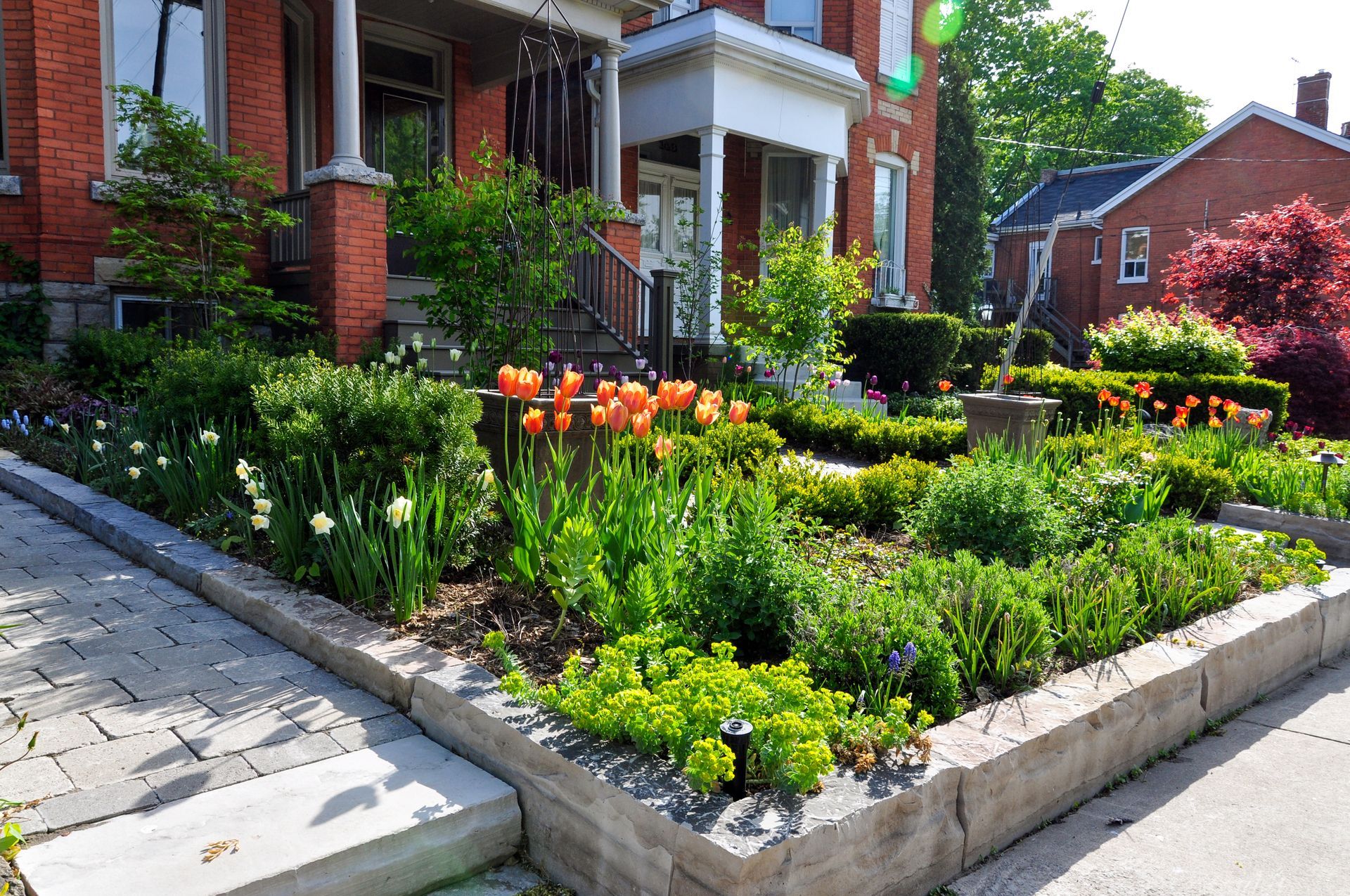 A lush, colorful garden bed in front of a brick house, featuring tulips, daffodils, and other greenery.