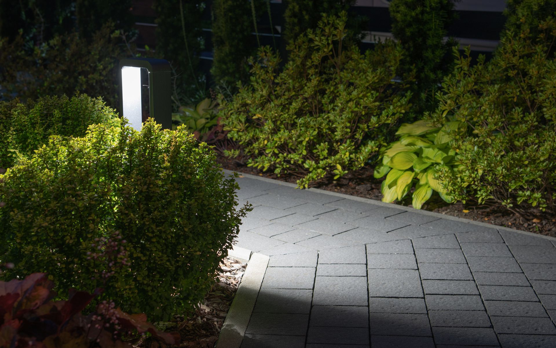 Lit pathway through a garden at night. Tall light post illuminates the paved walkway and surrounding bushes.