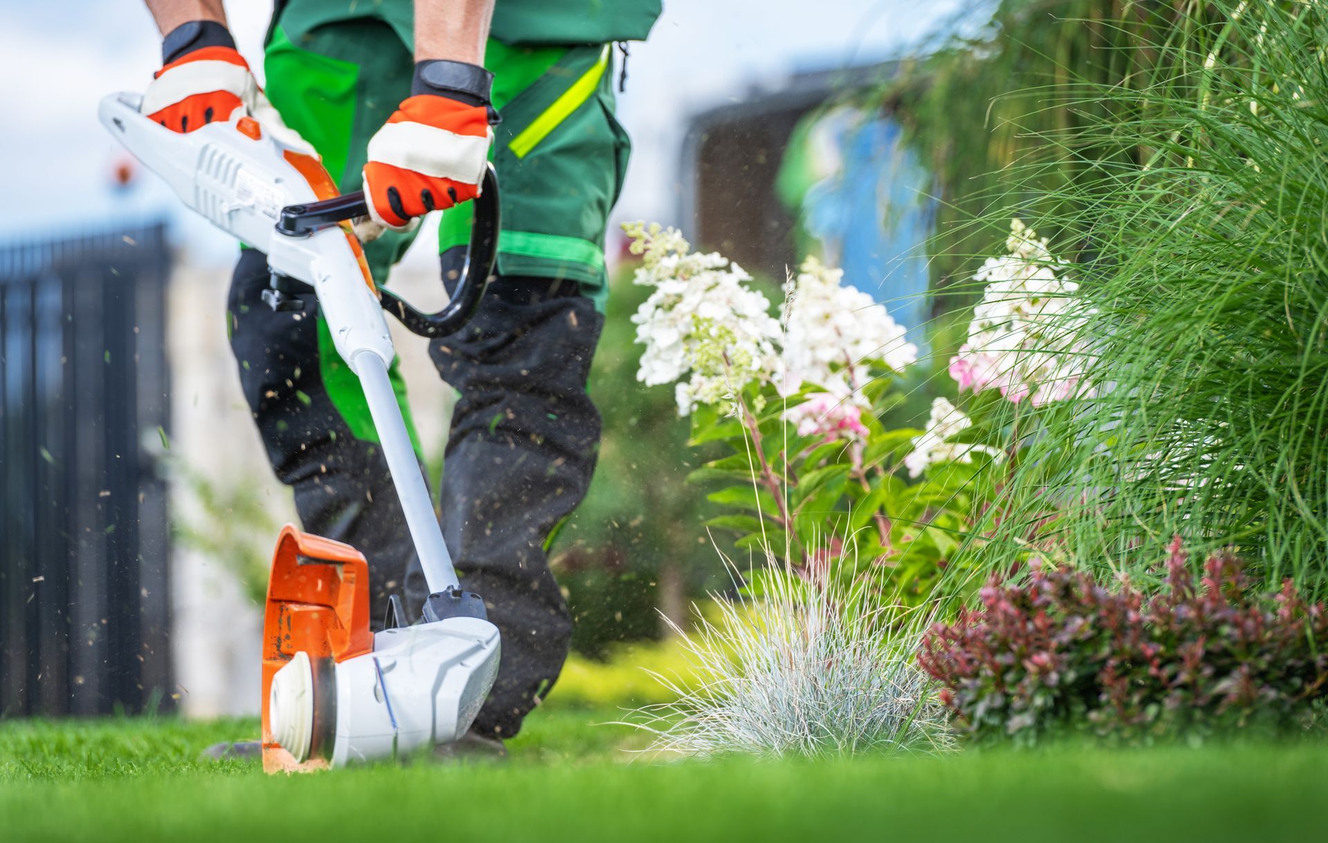 A man is using a lawn mower to cut the grass in a garden.