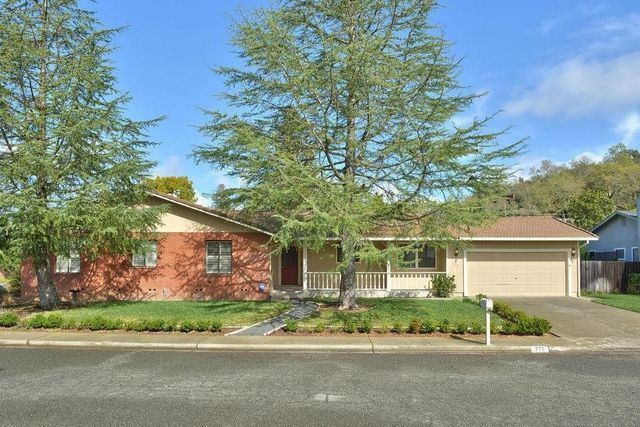 Trees on Houses — San Francisco, CA — Laurel Realty & Investment