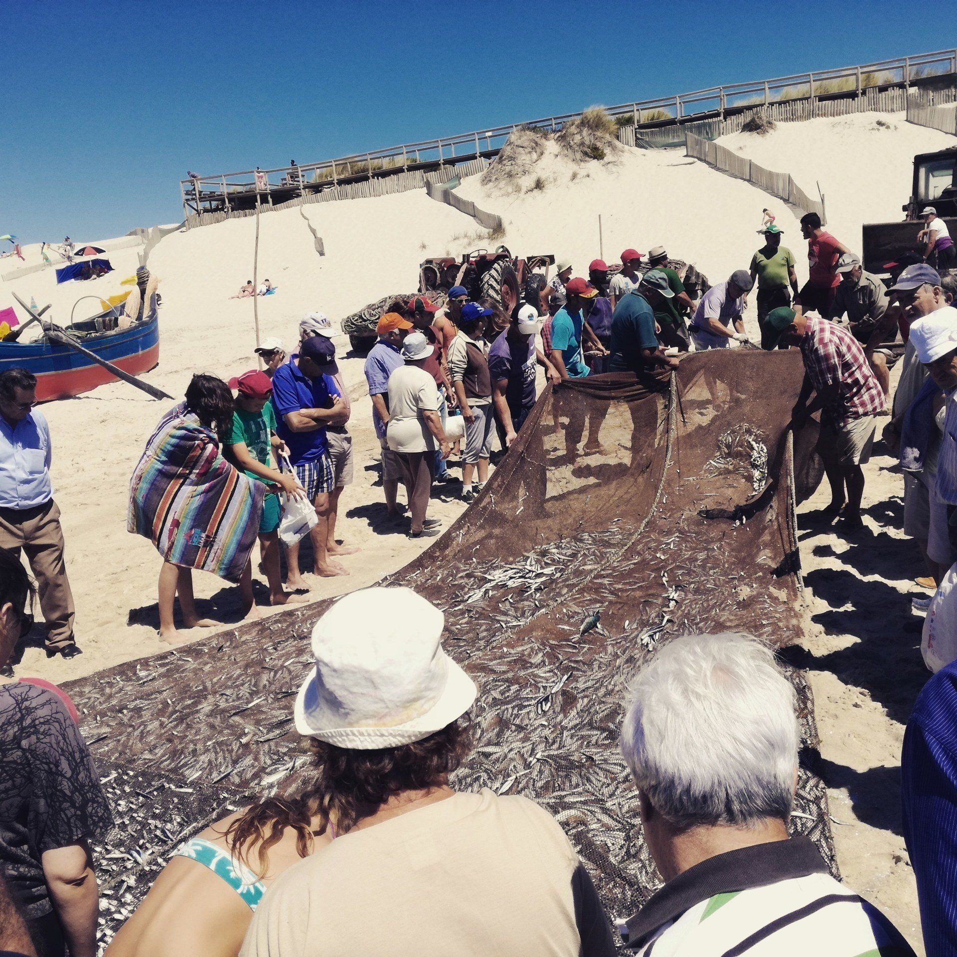 La pêche artisanale Praia da Vagueira