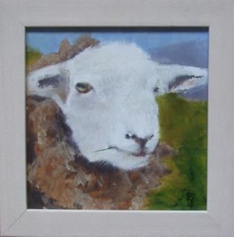 Herdwick sheep, Lake District, oil on board