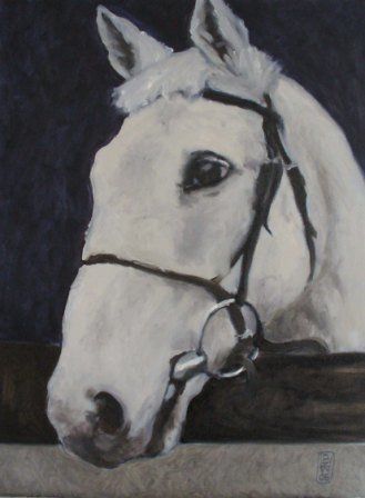Grey, racehorse, oil on board
