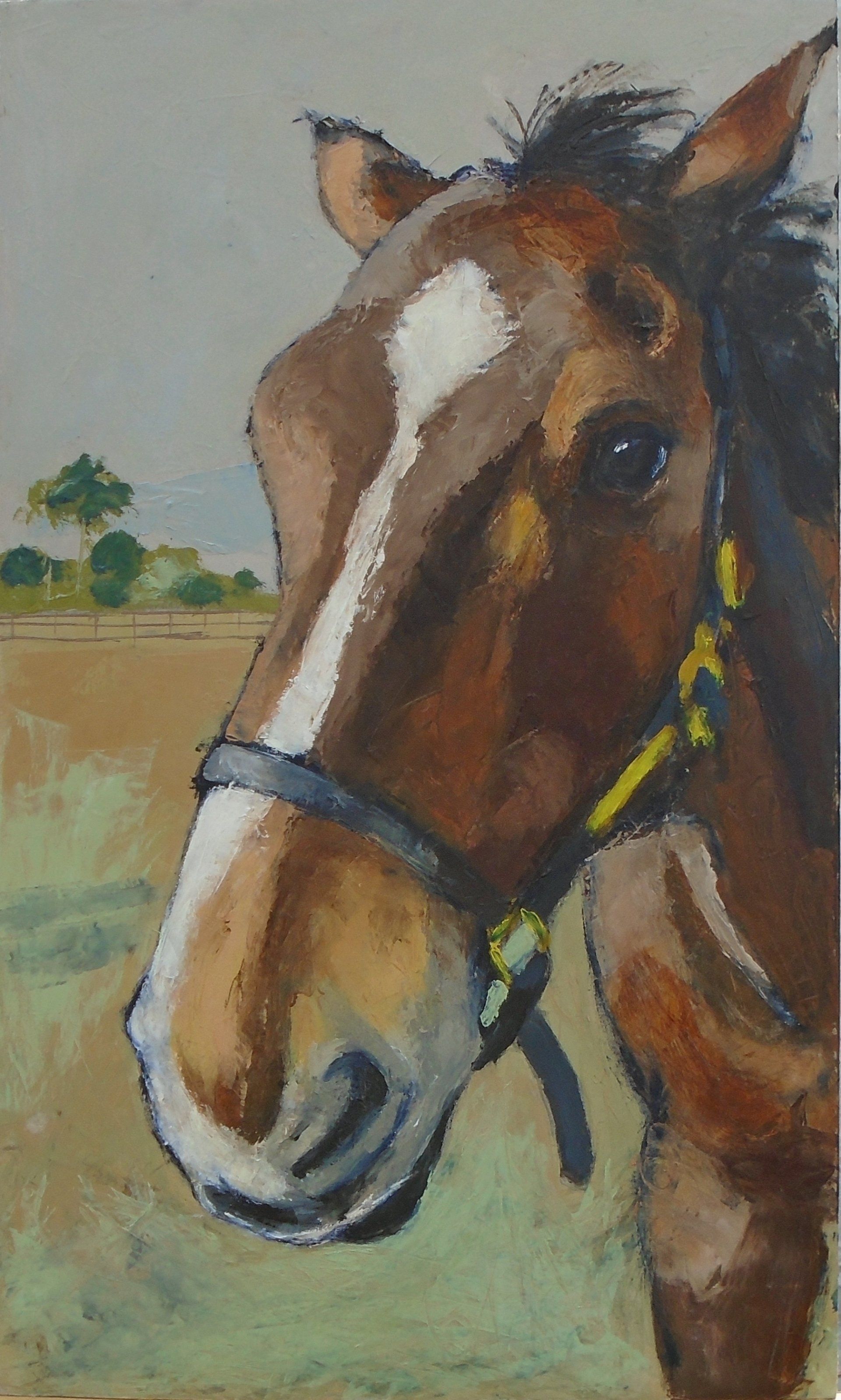 Horses, portraits, painting, oil paint