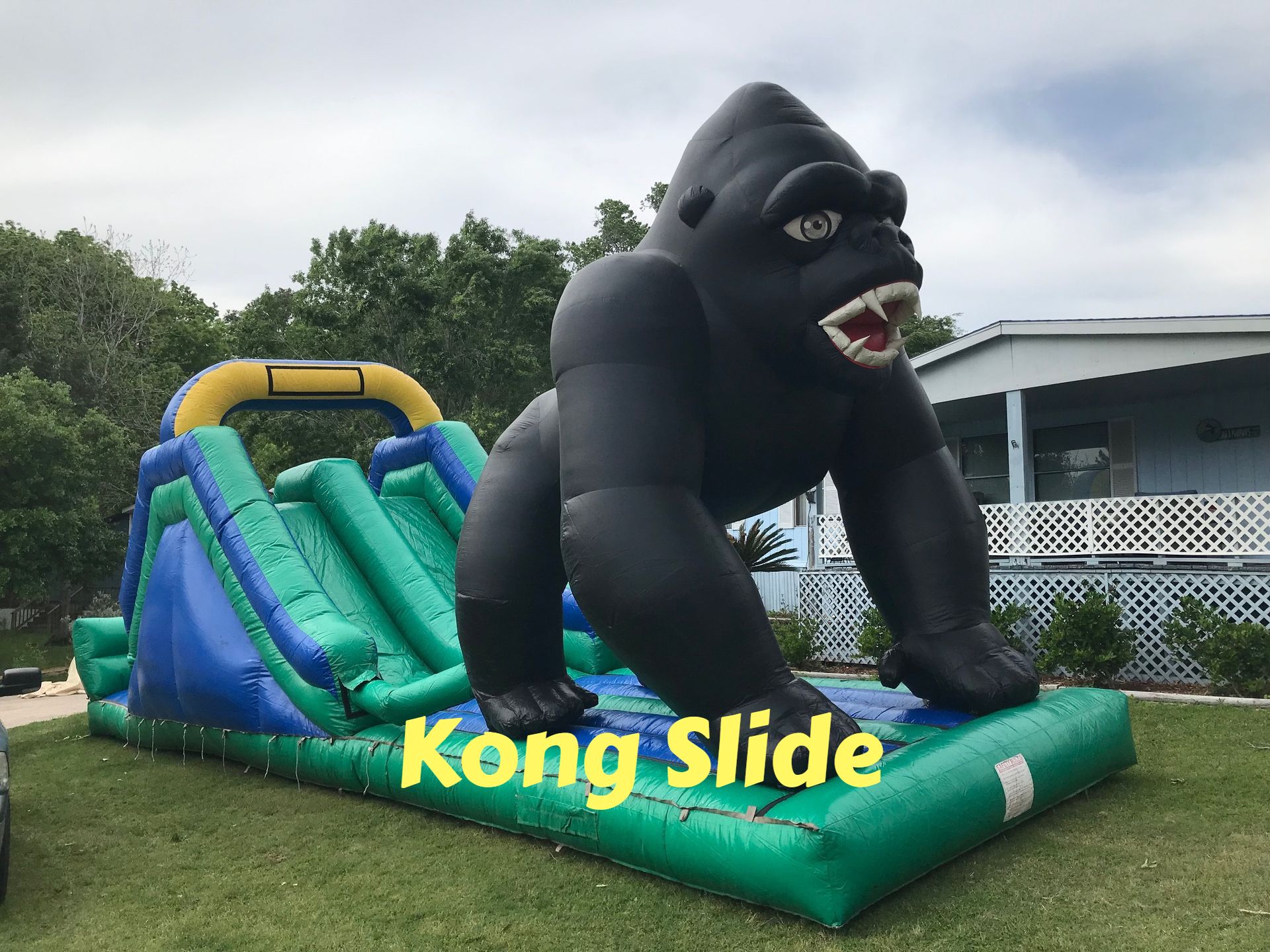 Slide - Kong