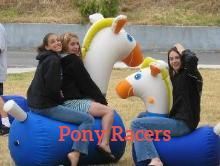 Inflatable Ponies