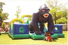 Obstacle Course - Kong