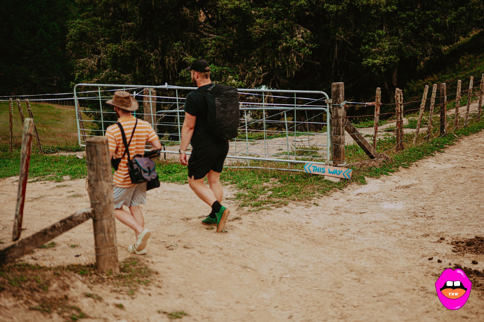 Naked In The Trees — A festival of curiosity in Taumarunui NZ