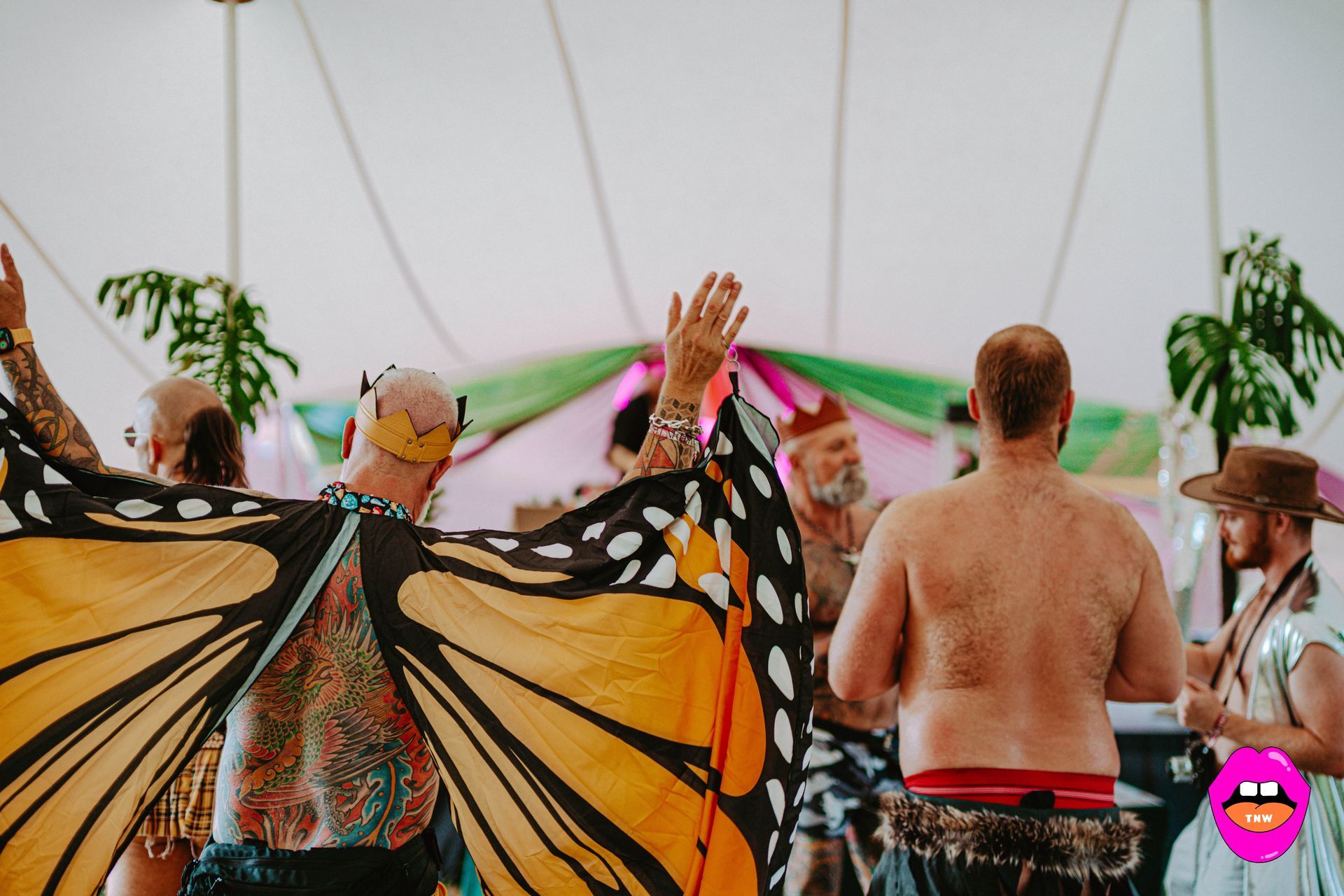 Naked In The Trees — A festival of curiosity in Taumarunui NZ
