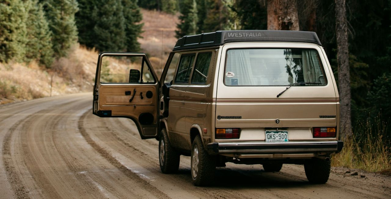 Naked In The Trees — A festival of curiosity in Taumarunui NZ