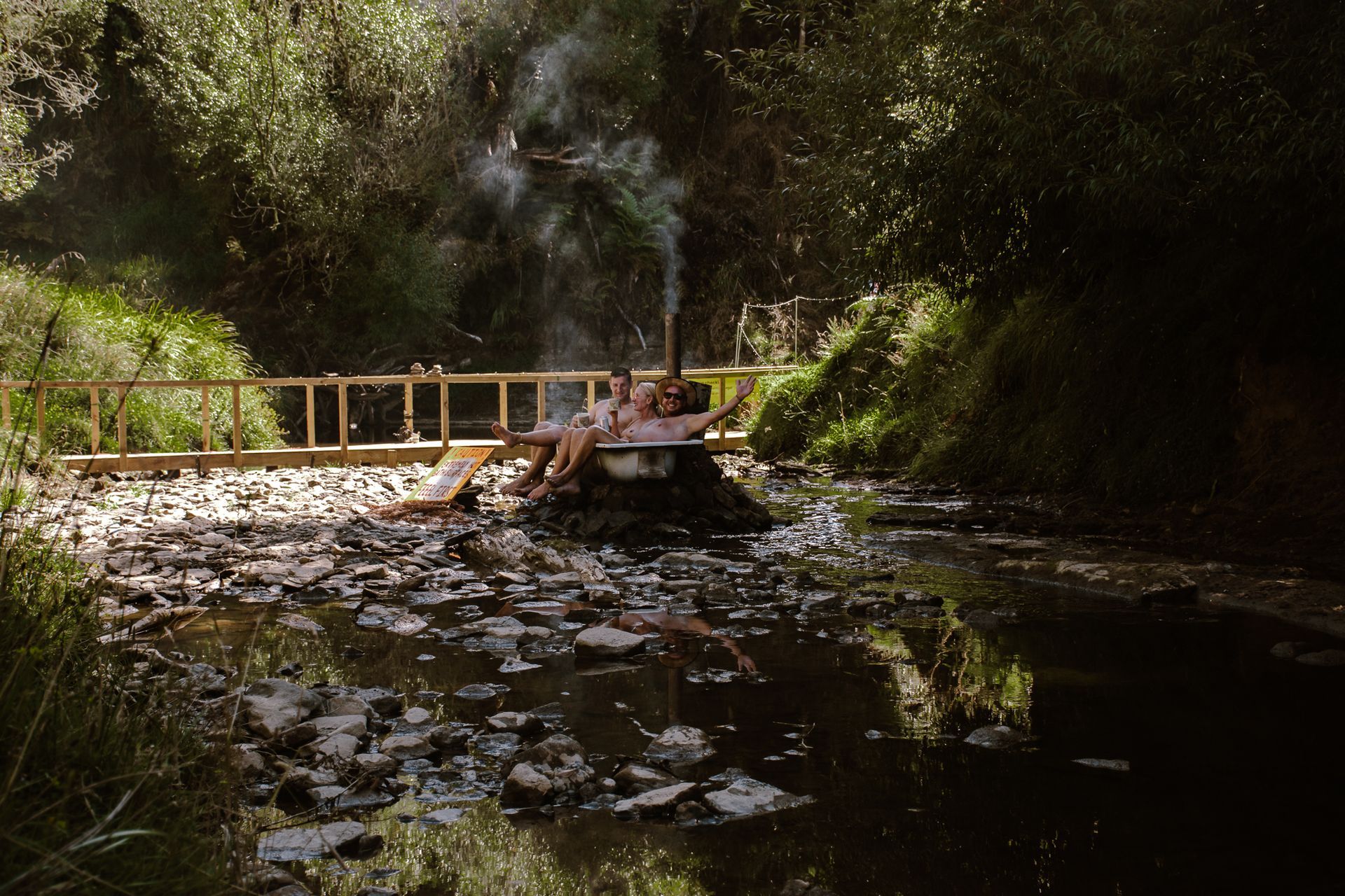 Naked In The Trees — A festival of curiosity in Taumarunui NZ