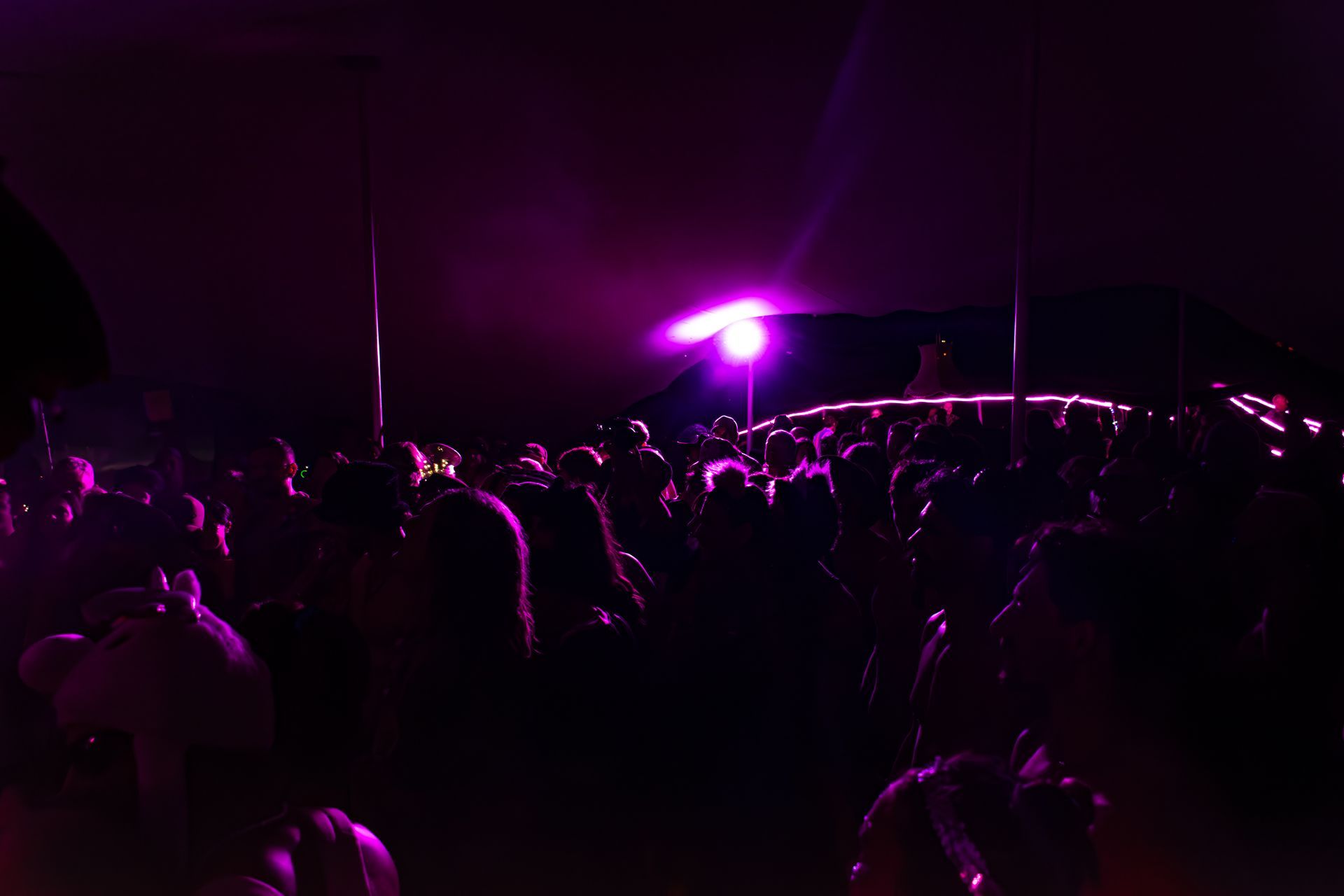 Naked In The Trees — A festival of curiosity in Taumarunui NZ