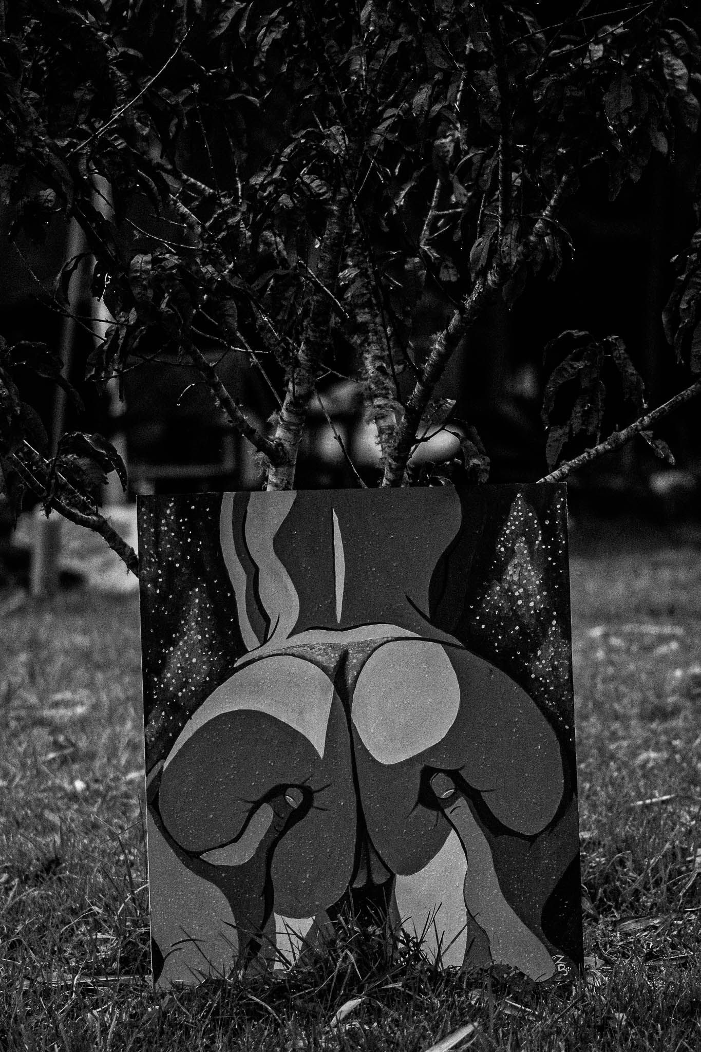 Naked In The Trees — A festival of curiosity in Taumarunui NZ