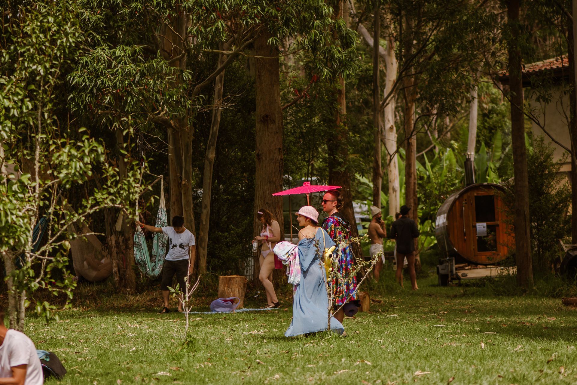 Naked In The Trees — A festival of curiosity in Taumarunui NZ